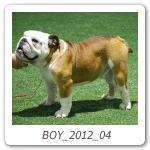 BOY_2012_04