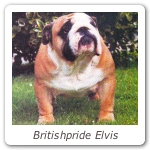 Britishpride Elvis