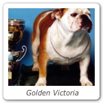 Golden Victoria