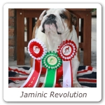 Jaminic Revolution