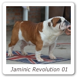 Jaminic Revolution 01