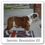 Jaminic Revolution 03