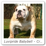 Luvipride Babybell - Crufts 2006