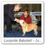 Luvipride Babybell - Ivrea BOB