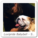 Luvipride Babybell - Speciale Torino CAC CACIB_