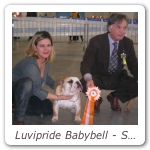Luvipride Babybell - Speciale Verona BOB_