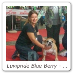 Luvipride Blue Berry - Camp_Soc 2009 - CAC Miglior Femmina