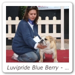 Luvipride Blue Berry - Nazionale Grosseto - 1 ECC Giovani