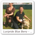 Luvipride Blue Berry - Nazionale Monza 2009 - 1 Giovani Miglior Femmina