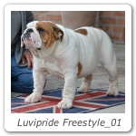 Luvipride Freestyle_01