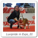 Luvipride in Expo_01