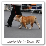 Luvipride in Expo_02