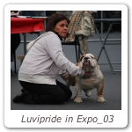 Luvipride in Expo_03