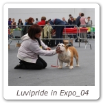 Luvipride in Expo_04