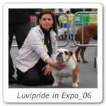 Luvipride in Expo_06
