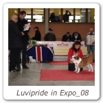 Luvipride in Expo_08