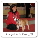 Luvipride in Expo_09