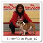 Luvipride in Expo_10