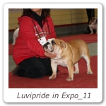 Luvipride in Expo_11