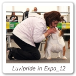 Luvipride in Expo_12