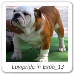 Luvipride in Expo_13