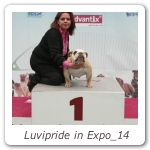 Luvipride in Expo_14