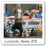 luvipride_karen_og_raduno_reggio_emilia_2013_1