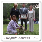 Luvipride Kouross - BOY 2009 BOS_