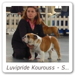 Luvipride Kourouss - Speciale Mondovi BOS