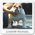 Luvipride Kourouss_