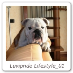 Luvipride Lifestyle_01