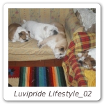 Luvipride Lifestyle_02