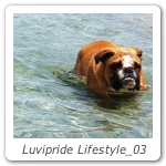 Luvipride Lifestyle_03