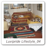 Luvipride Lifestyle_04