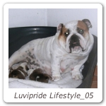 Luvipride Lifestyle_05