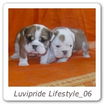 Luvipride Lifestyle_06