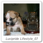 Luvipride Lifestyle_07