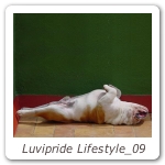 Luvipride Lifestyle_09