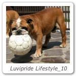 Luvipride Lifestyle_10