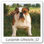 Luvipride Lifestyle_12