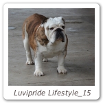 Luvipride Lifestyle_15
