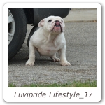 Luvipride Lifestyle_17