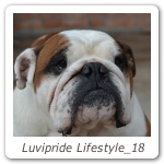 Luvipride Lifestyle_18