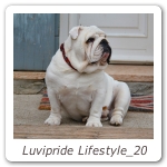 Luvipride Lifestyle_20