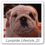 Luvipride Lifestyle_21