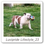 Luvipride Lifestyle_23