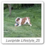 Luvipride Lifestyle_25
