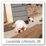 Luvipride Lifestyle_26