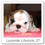 Luvipride Lifestyle_27