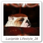 Luvipride Lifestyle_28